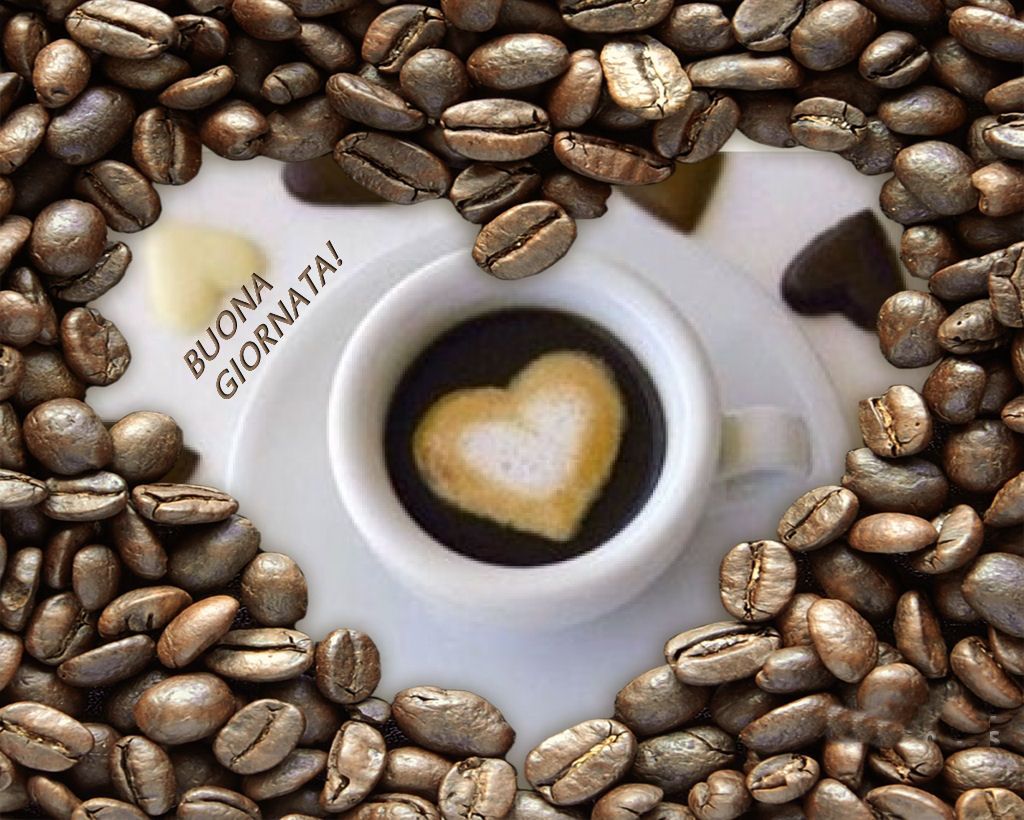 buon caffe buon caffe
